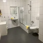 Отель Baeren