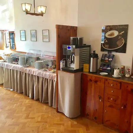 Bären Ochsenfurt