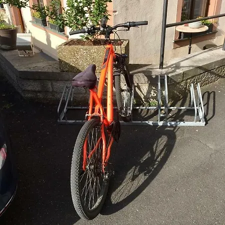 Bären 3*